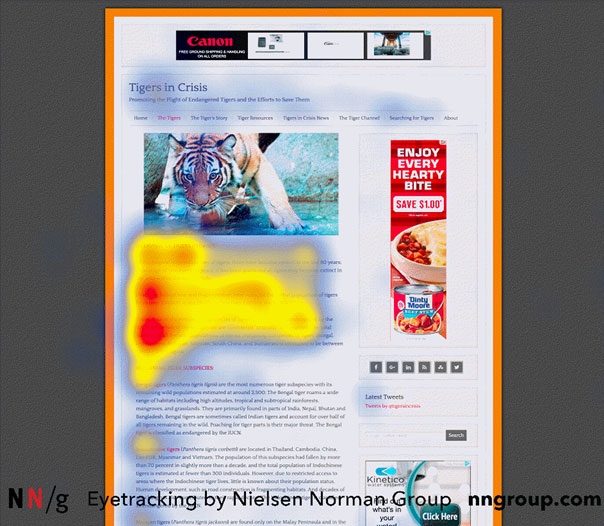 Heat map versus eye tracking