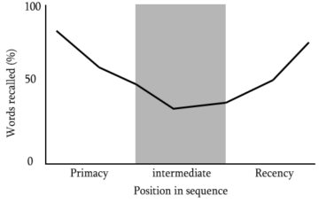 Serial position curve