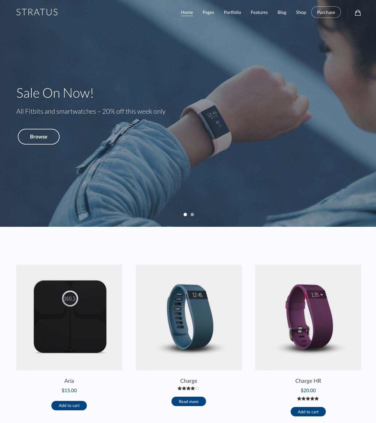 Wordpress Template Landing Page Ecommerce